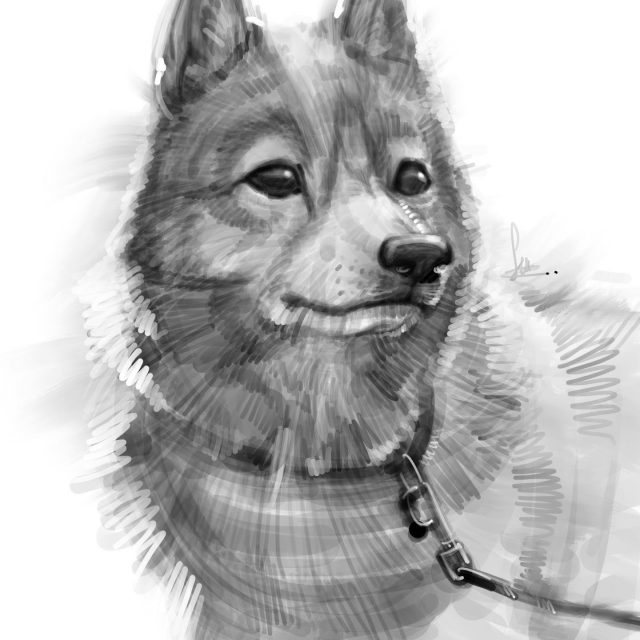 121673597_3571481639539253_6147008782276058172_o